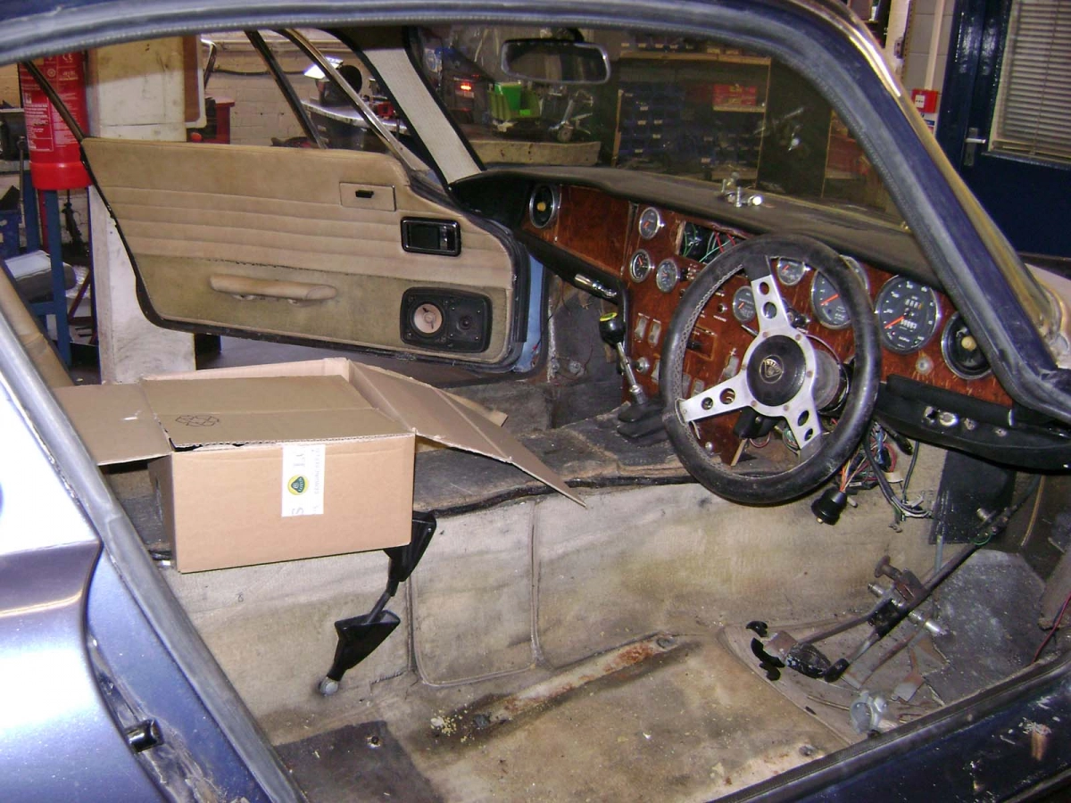 Lotus Restoration 6